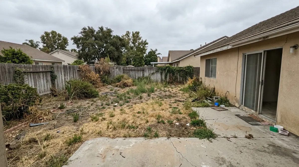 Backyard before: dead lawn and cracked concrete